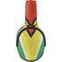 Guyana Flag Distressed Skullcandy Venue Skin