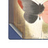 Haiku Butterfly Galaxy Z Fold6 Skin