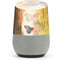 Haiku Butterfly Google Home Skin