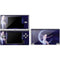 Half Moon Fairy by Rachel Anderson DS Lite Skin