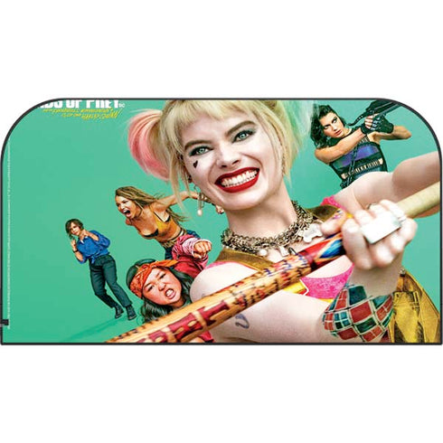 DC Comics Harley Quinn Birds of Prey Nintendo Switch 2 (2025) with Joy-Con Skin