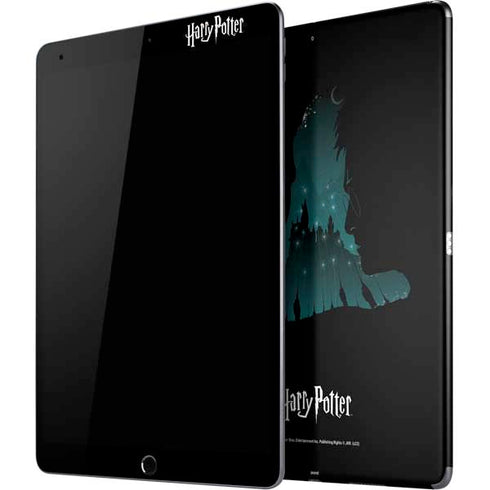 Wizarding World Harry Potter Hats and Hogwarts iPad Skins
