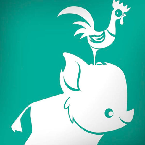 Disney Moana Heihei and Pua Moto G6 Skin