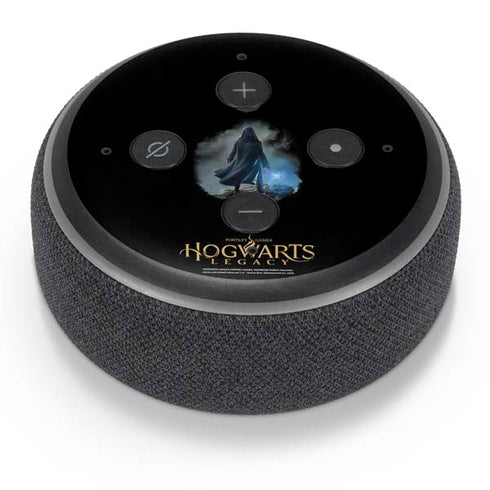 Wizarding Worlds Hogwarts Legacy Character art Amazon Echo Dot Skin