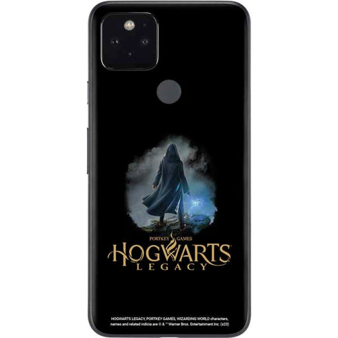 Wizarding Worlds Hogwarts Legacy Character art Google Pixel 5 Skin
