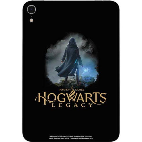 Wizarding Worlds Hogwarts Legacy Character art Apple iPad Mini Skin