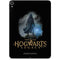 Wizarding Worlds Hogwarts Legacy Character art Apple iPad Pro Skin