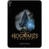 Wizarding Worlds Hogwarts Legacy Character art Apple iPad Pro Skin