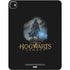 Wizarding Worlds Hogwarts Legacy Character art iPad Pro 13in M4 (2024) Skin