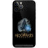 Wizarding Worlds Hogwarts Legacy Character art iPhone 12 Pro Max Skin
