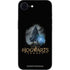 Wizarding Worlds Hogwarts Legacy Character art iPhone 16e Skin