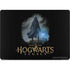 Wizarding Worlds Hogwarts Legacy Character art MacBook Pro 14in (2021-24) Skin