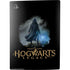 Wizarding Worlds Hogwarts Legacy Character art PS5 Bundle Skin