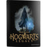 Wizarding Worlds Hogwarts Legacy Character art PS5 Digital Edition Bundle Skin