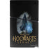 Wizarding Worlds Hogwarts Legacy Character art PS5 Slim Digital Edition Console Skin