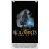 Wizarding Worlds Hogwarts Legacy Character art Xbox Series S Console Skin
