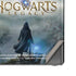 Wizarding World Hogwarts Legacy Main Poster Galaxy Note20 5G Skin