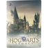 Wizarding World Hogwarts Legacy Main Poster PS5 Bundle Skin