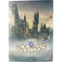 Wizarding World Hogwarts Legacy Main Poster PS5 Console Skin