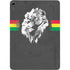 Horizontal Banner - Lion of Judah Apple iPad Air Skin