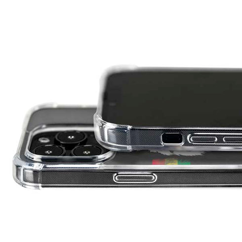 Horizontal Banner - Lion of Judah iPhone 16 Pro MagSafe Case