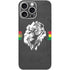Horizontal Banner - Lion of Judah iPhone 16 Pro Max Skin