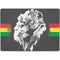 Horizontal Banner - Lion of Judah Surface Pro 9 Skin