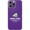 Texas Christian University Horned Frogs Fort Worth iPhone 16 Pro Max Skin