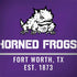 Texas Christian University Horned Frogs Fort Worth Dell Latitude Skin