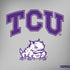 Texas Christian University Horned Frogs Logo Print Dell Alienware Skin