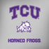 Texas Christian University Horned Frogs Logo Print Amazon Echo Skin