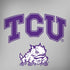 Texas Christian University Horned Frogs Logo Print Galaxy Note 8 Skin