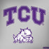Texas Christian University Horned Frogs Logo Print Dell Inspiron Skin