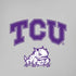 Texas Christian University Horned Frogs Logo Print iPhone XR Pro Case