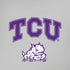 Texas Christian University Horned Frogs Logo Print iPhone XR Skin