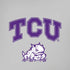 Texas Christian University Horned Frogs Logo Print iPhone XS Pro Case