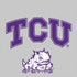 Texas Christian University Horned Frogs Logo Print Otterbox Commuter Galaxy Skin