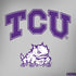 Texas Christian University Horned Frogs Logo Print PlayStation 4 Gold Wireless Headset Skin