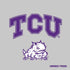 Texas Christian University Horned Frogs Logo Print PS4 Pro Console Skin