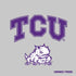 Texas Christian University Horned Frogs Logo Print PS4 Slim Skin