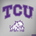 Texas Christian University Horned Frogs Logo Print Lenovo ThinkPad Skin