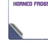 Texas Christian University Horned Frogs TCU Galaxy Z Fold6 Skin