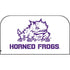 Texas Christian University Horned Frogs TCU Nintendo Switch 2 (2025) with Joy-Con Skin