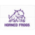 Texas Christian University Horned Frogs TCU Surface Laptop Studio Skin