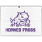 Texas Christian University Horned Frogs TCU Surface Pro 9 Skin