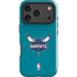NBA Charlotte Hornets Distressed iPhone 17 Pro Max Impact Case