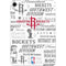 NBA Houston Rockets Historic Blast Apple iPad Mini Skin