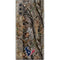 NFL Houston Texans Realtree AP Camo Galaxy Note 10 Plus Skin
