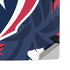 NFL Houston Texans Tropical Print PS5 Pro Disk Console Skin