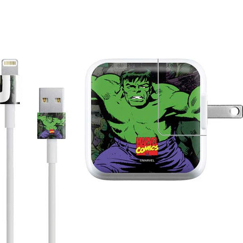 Marvel Classic Comics Hulk Fighter Vintage iPad Charger (10W USB) Skin